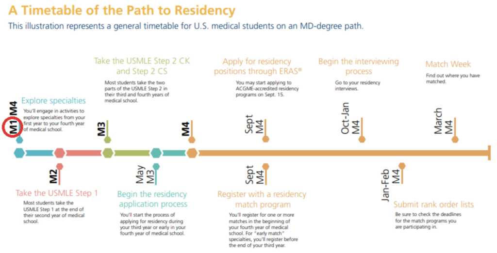 hidden curriculum medicine